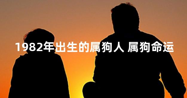 1982年出生的属狗人 属狗命运